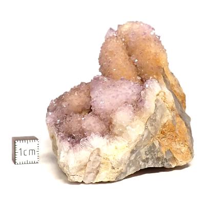 Cristal Cactus Brute 2051