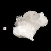 Cristal de Roche Amas 2094