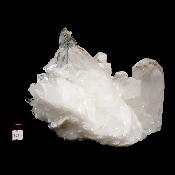 Cristal de Roche Amas 2103