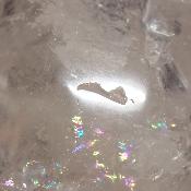 Cristal de Roche Crâne 2149