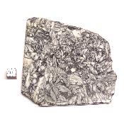 Pinolite Plaque 2340