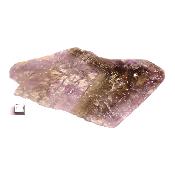 Super Seven Plaque 2365