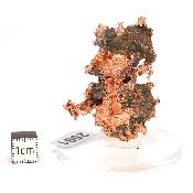 Cuivre Natif pierre brute 2591