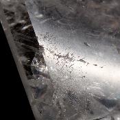 Cristal Vogel Plat 3031