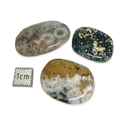 Jaspe Orbiculaire Mini Pierre Plate