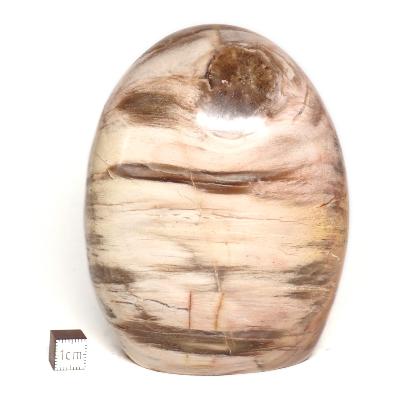 Bois Fossile Forme Libre 04075