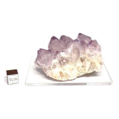 Cristal Cactus - 05405