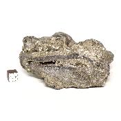 Pyrite Pierre Brute n° 05813