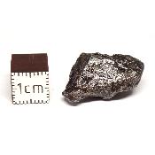 Météorite Sidérite Sikhote-Alin 15167