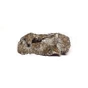 Météorite Sidérite Sikhote-Alin 15172