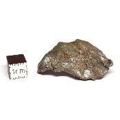 Météorite Sidérite Sikhote-Alin 15175