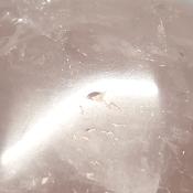 Quartz Rose Forme Libre 15630