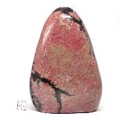 Rhodonite Forme Libre 15677