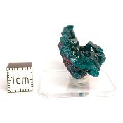 Dioptase Pierre Brute 15786