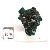 Dioptase Pierre Brute 15824