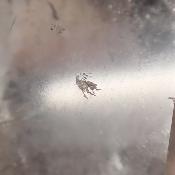 Cristal de Roche Pointe Polie 15938