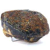 Ambre de Sumatra 20064