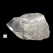 Cristal Lémurien 2022