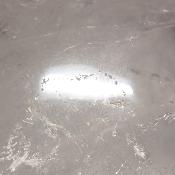 Cristal de Roche Crâne 2158