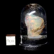 Opale d'Ethiopie Pierre Brute 2307