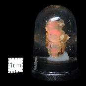 Opale d'Ethiopie Pierre Brute 2310