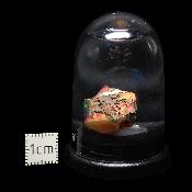 Opale d'Ethiopie Pierre Brute 2318