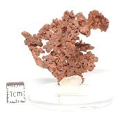 Cuivre Natif pierre brute 2582