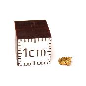 Pépite d'Or 2669