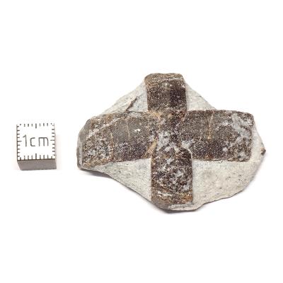 Pierre de Croix de Russie Pierre Brute 2721