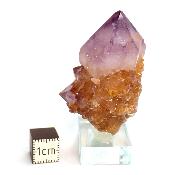 Cristal Cactus Brute 2728