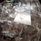 Cristal Vogel 3035