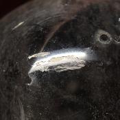 Cristal de Roche Boule Qualité E 3069