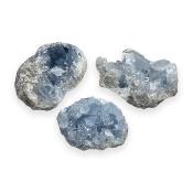 Celestine Pierre Brute