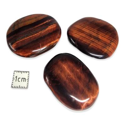 Oeil de Taureau (boeuf) Pierre Plate