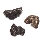 Météorite Sidérite Sikhote Alin 