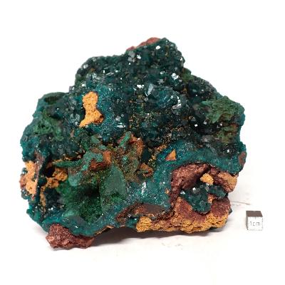 Dioptase Pierre Brute 04606