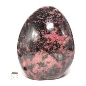 Rhodonite Forme Libre n° 05009
