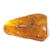Ambre de la Baltique morceau poli n° 05946