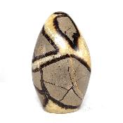 Septaria Forme Libre 08369