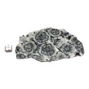 Diorite Orbiculaire Plaque 0116