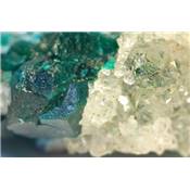 Dioptase Pierre Brute 11741