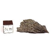 Météorite Sidérite Sikhote-Alin 15160