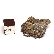 Météorite Sidérite Sikhote-Alin 15161