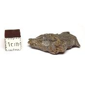 Météorite Sidérite Sikhote-Alin 15165