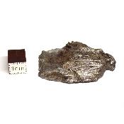 Météorite Sidérite Sikhote-Alin 15166