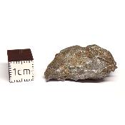 Météorite Sidérite Sikhote-Alin 15173