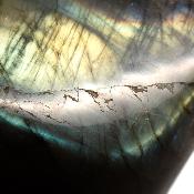 Labradorite Forme Libre 15504
