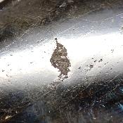 Labradorite Forme Libre 15508