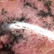Rhodonite Forme Libre 15676