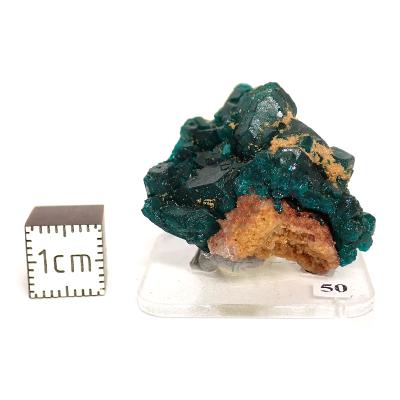 Dioptase Pierre Brute 15808